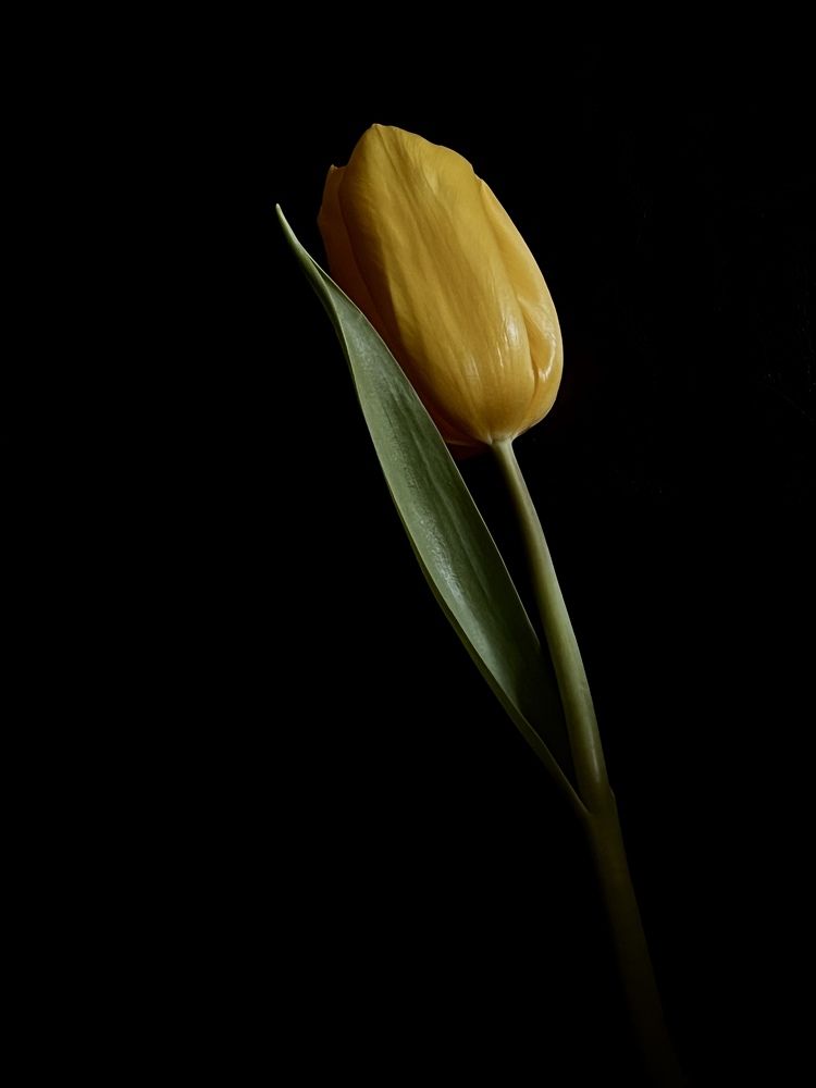 Фотография автора Ирина Мосько