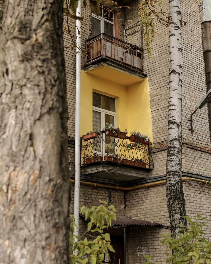 Фотография автора Ирина Мосько