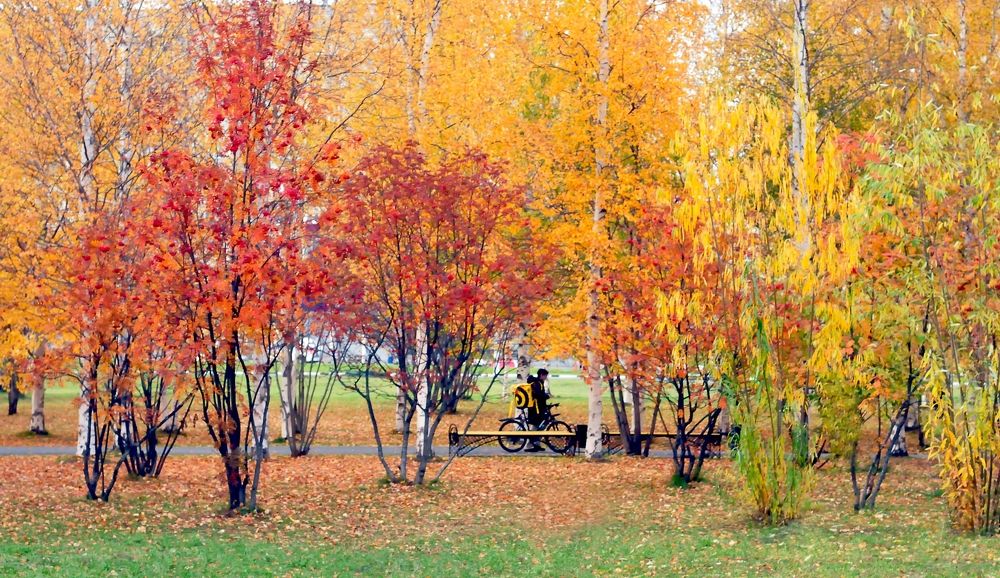 Краски осени