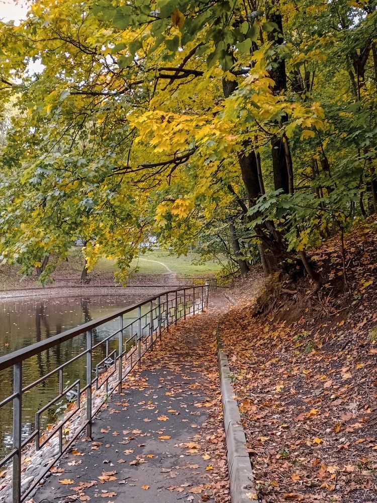 Photograph by Sergey Kurkov-Tarkovsky