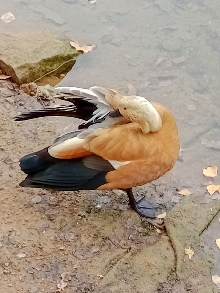 Photograph by Sergey Kurkov-Tarkovsky