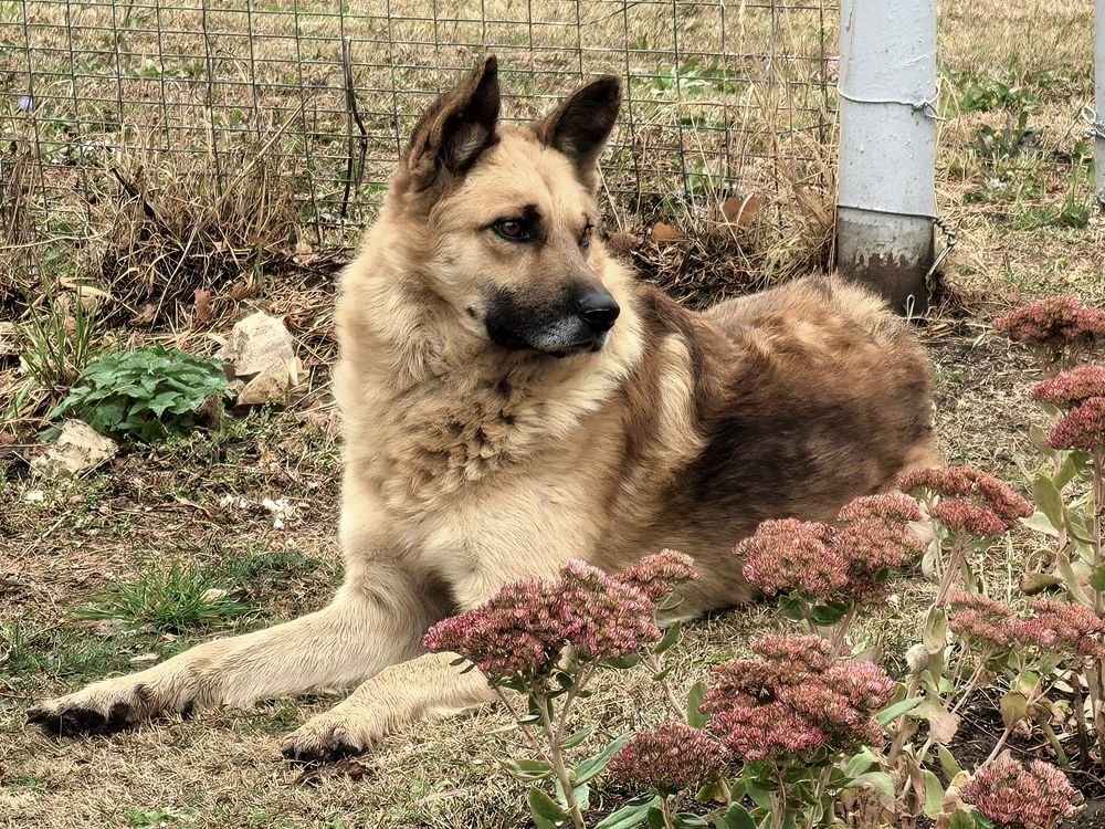 Фотография автора Иван Кириллов