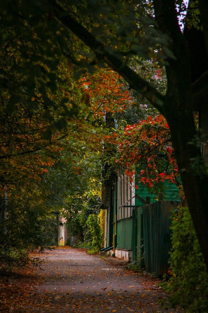 Photograph by Алёна Горелкина