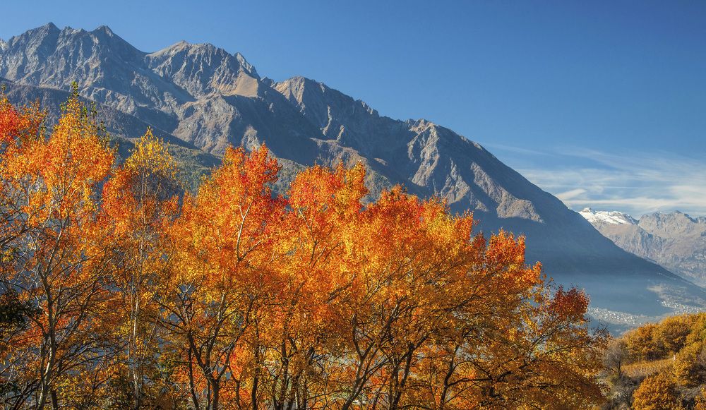 Photograph by Svetlana Rizzo