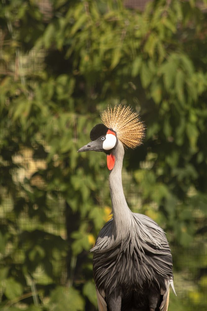 Photograph by Павлов Егор