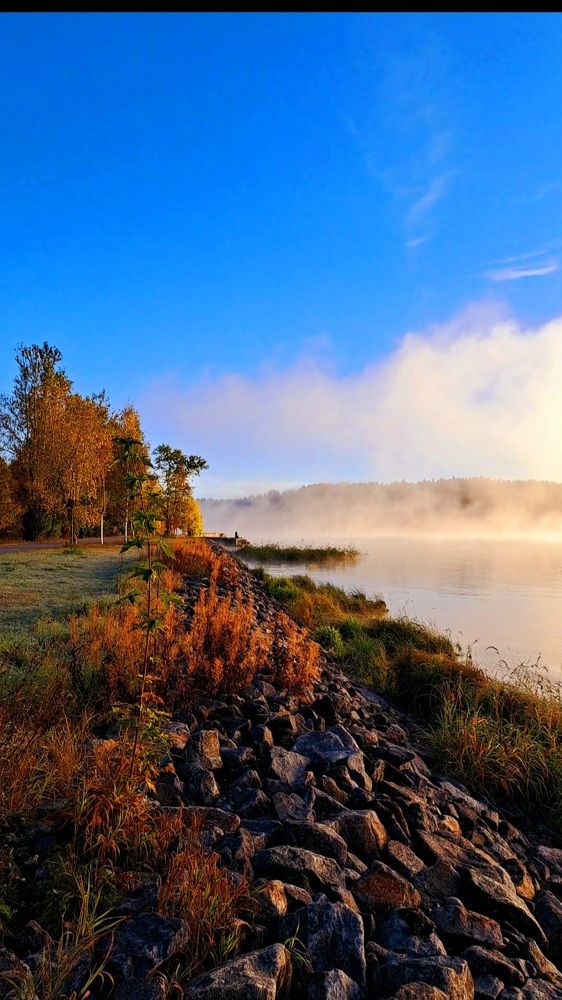 Photograph by Галина Перепечаева