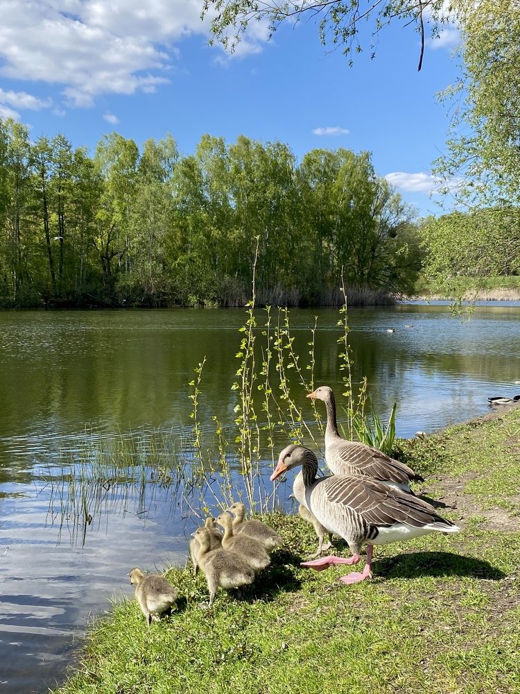 Photograph by Yuliana Zhyriakova