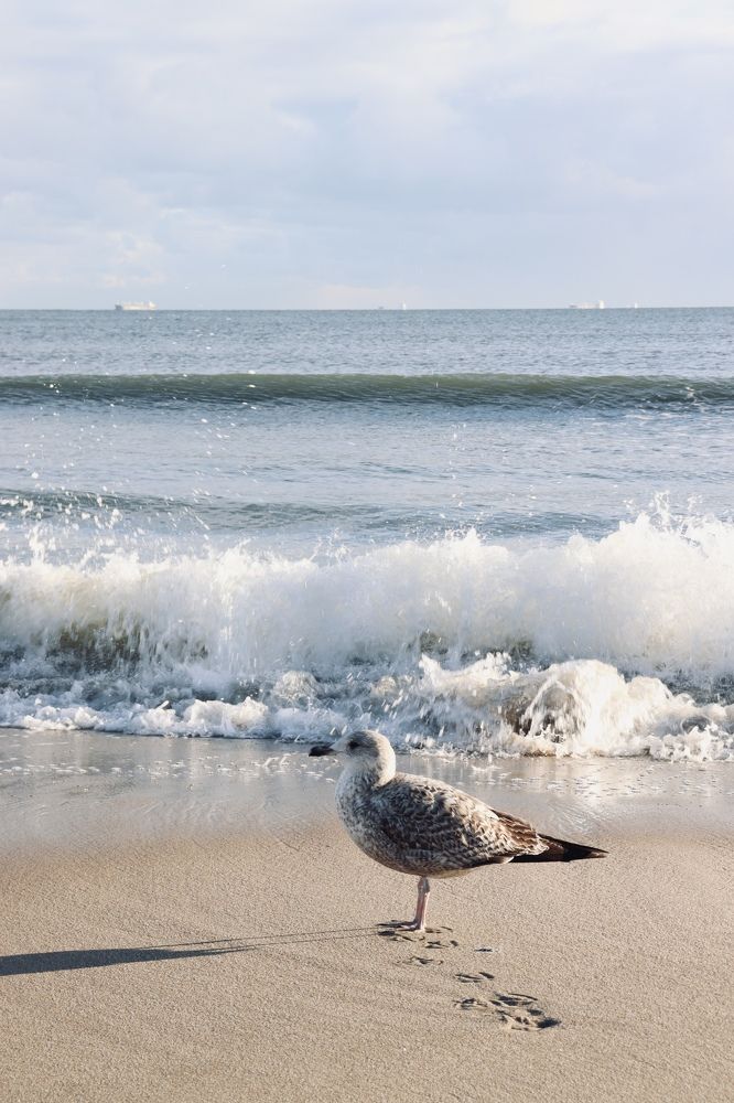 Фотография автора Yuliana Zhyriakova