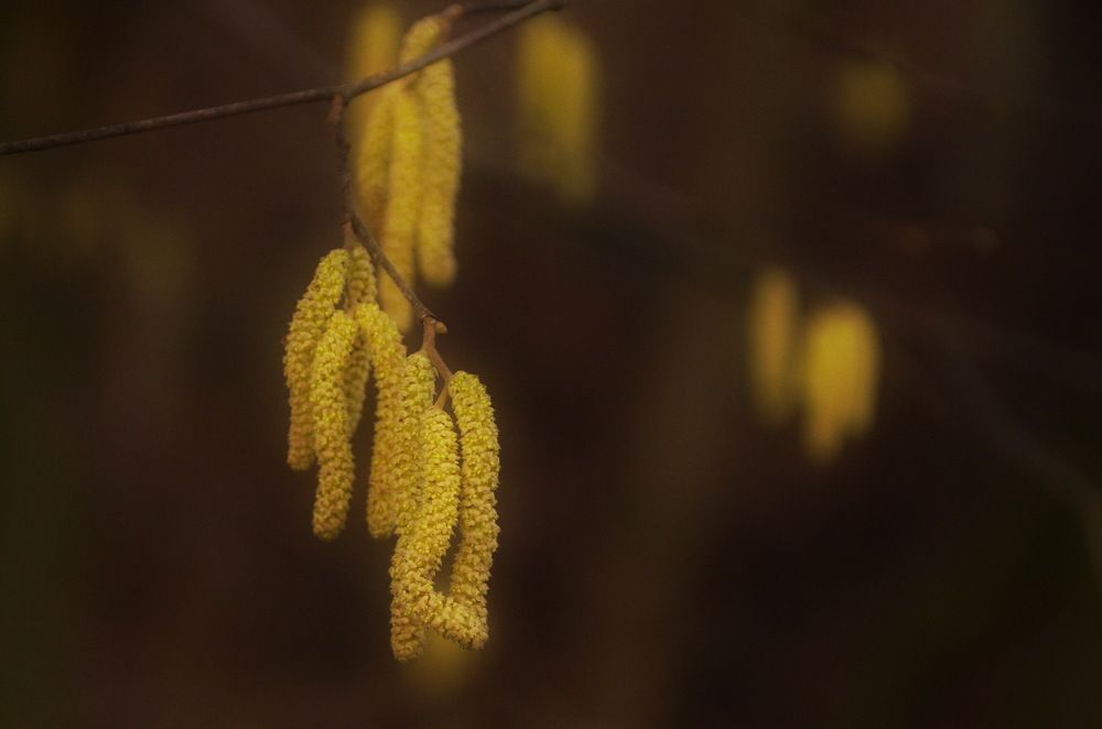 Photograph by Надежда Михайлина