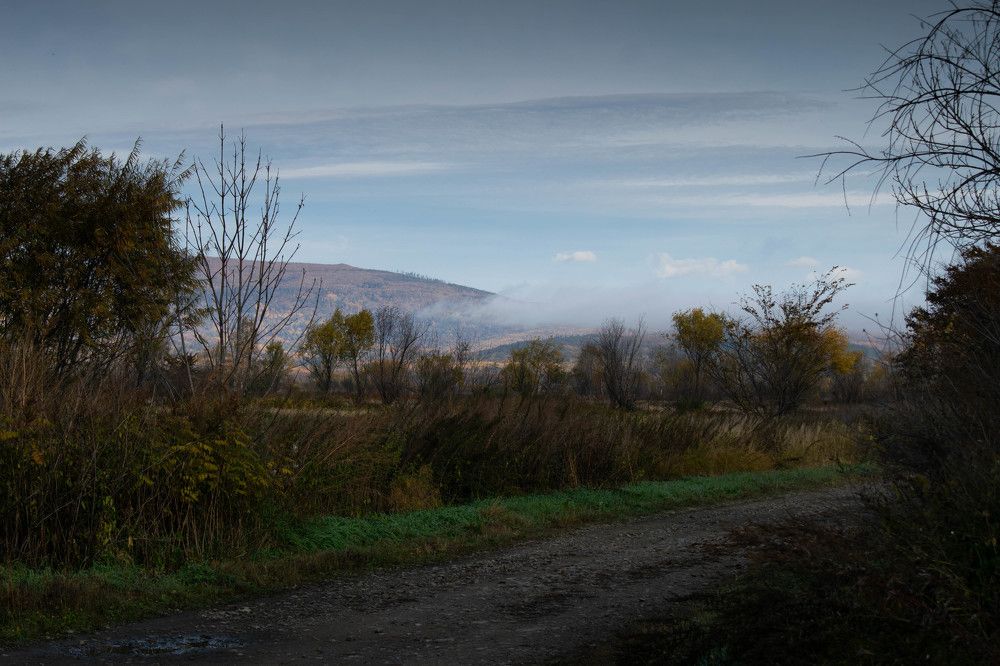 Photograph by Ольга Одинцова