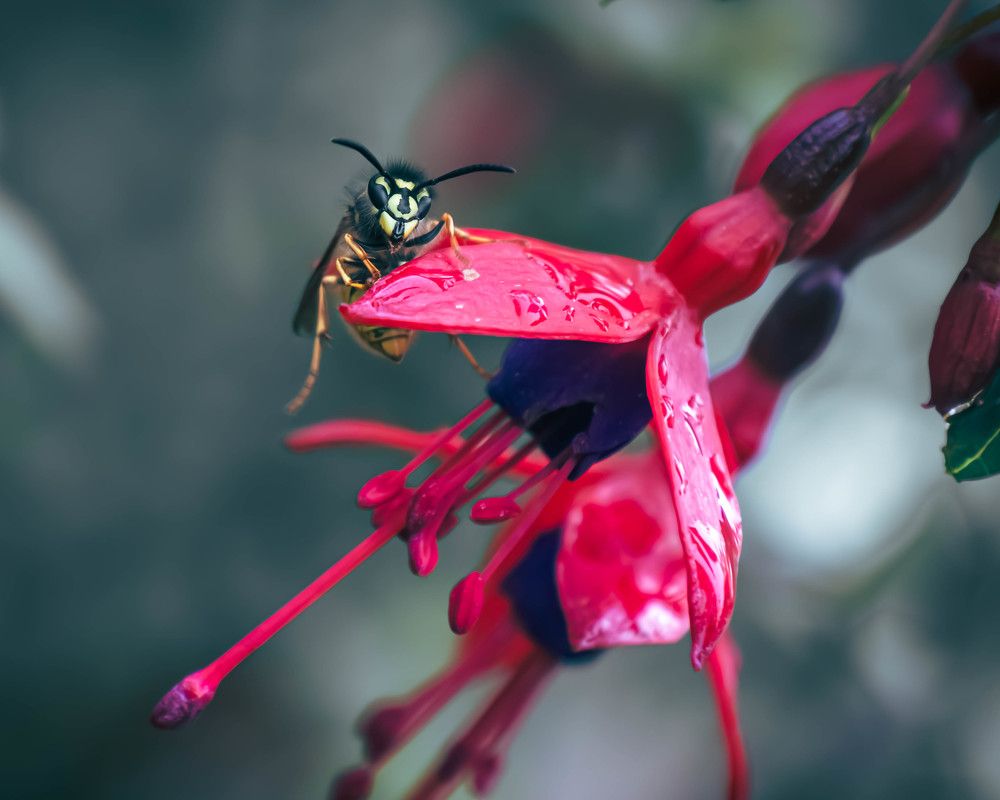 Фотография автора Ekaterina Palant