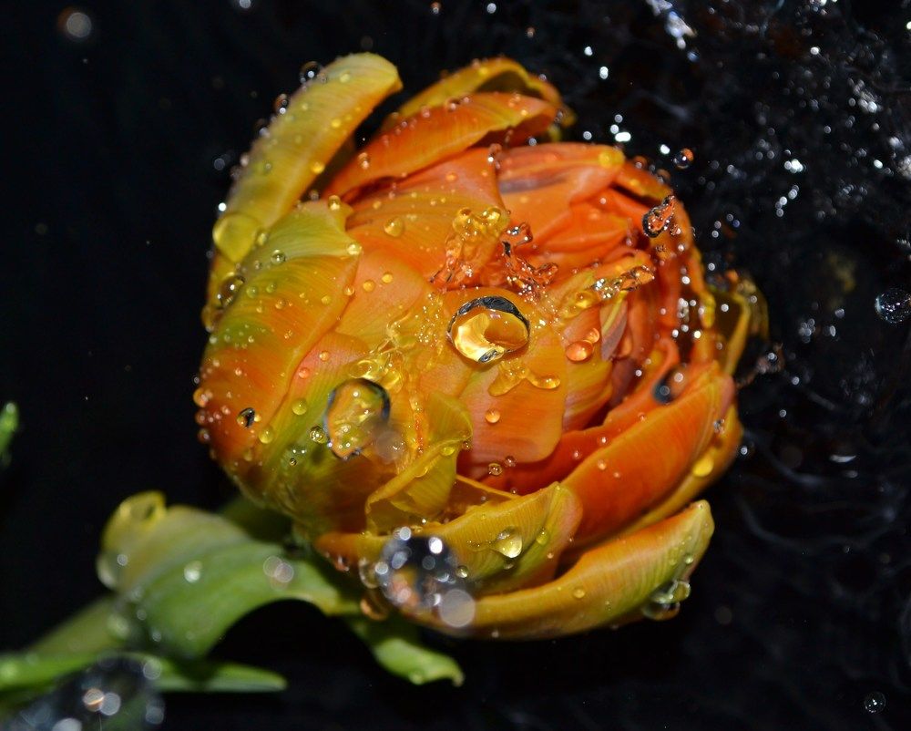 Photograph by Ольга Хромова