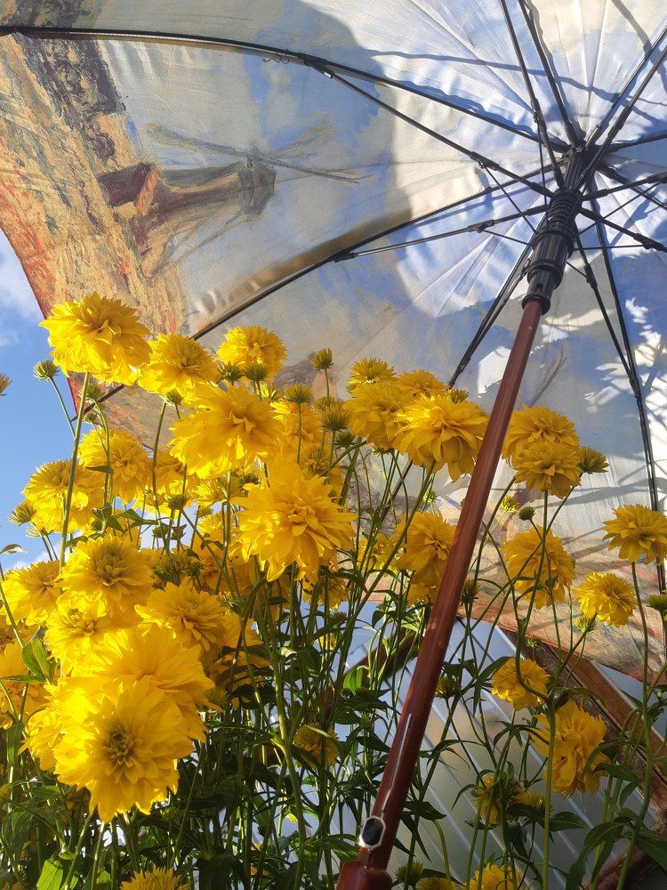 Photograph by Ольга Хромова