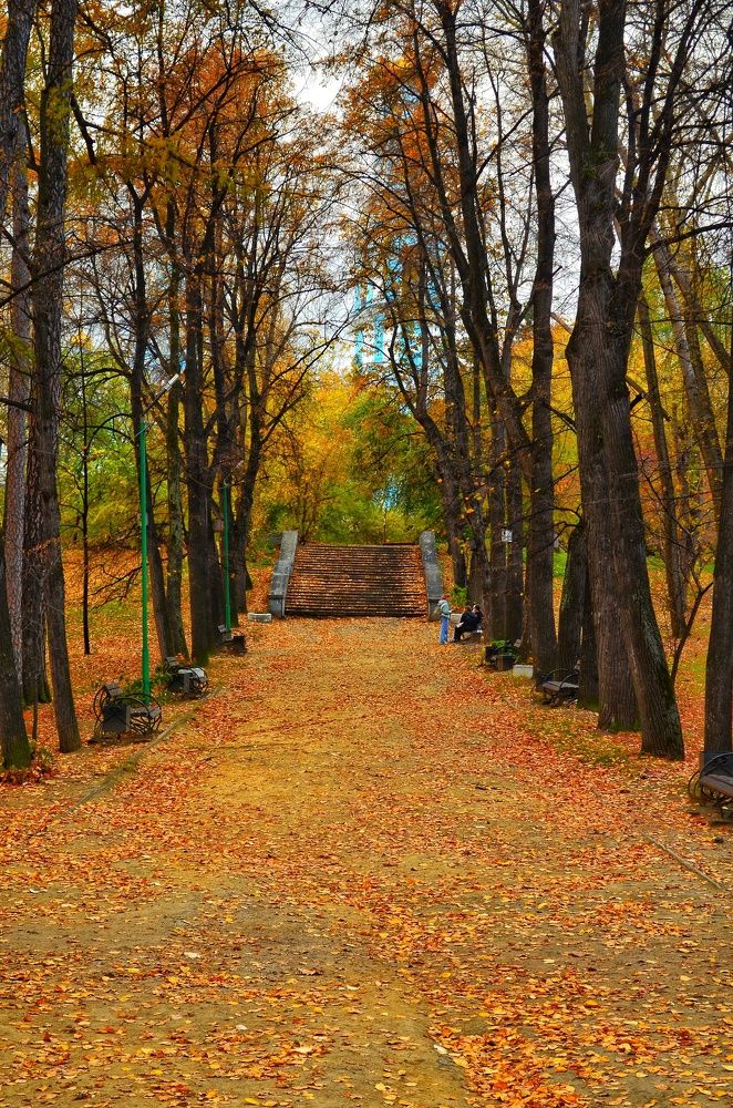 Photograph by Soldatenko Maksim