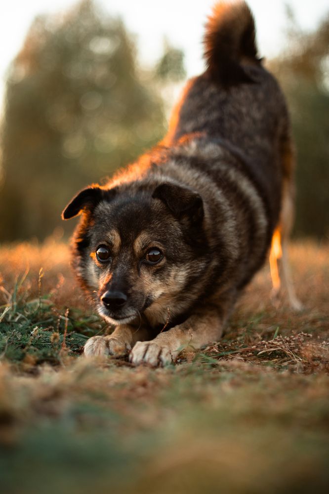 Photograph by Natasha Stugireva