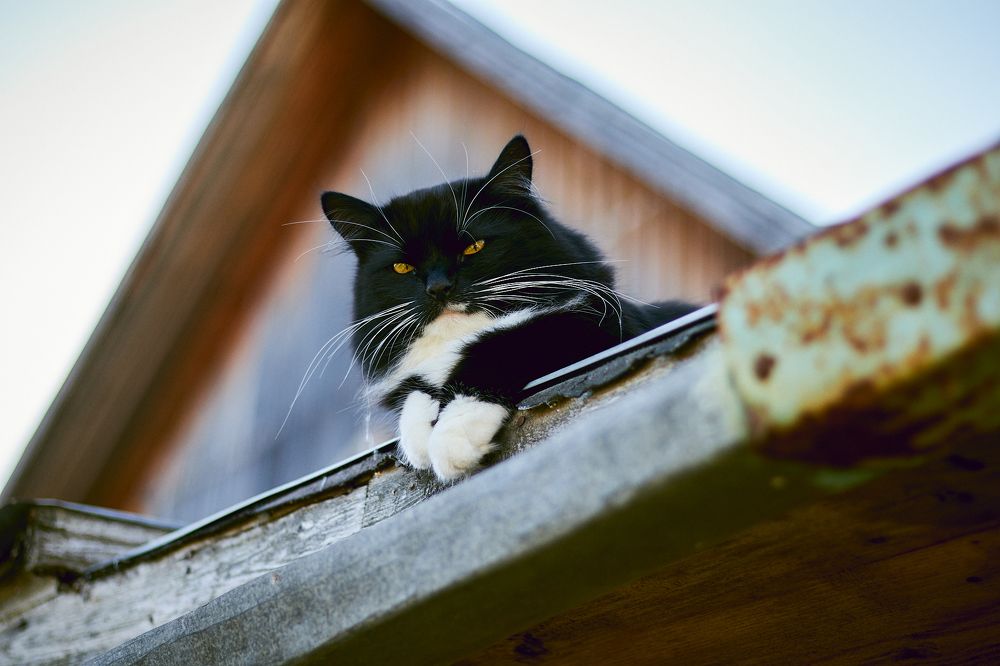 Photograph by Павлов Егор