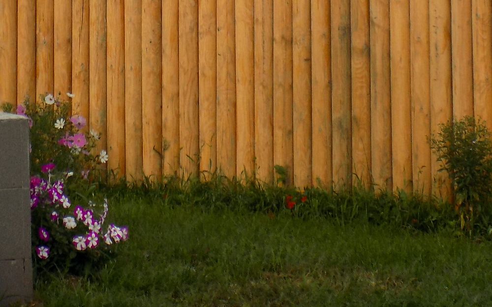 Photograph by Серега Вартман