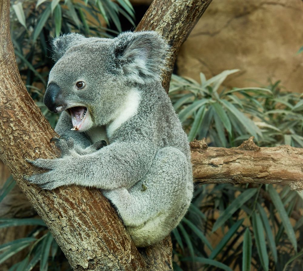 Фотография автора Ekaterina Palant