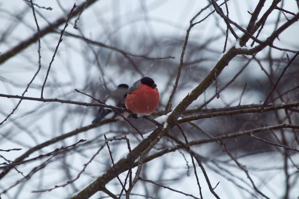 Photograph by Павлов Егор