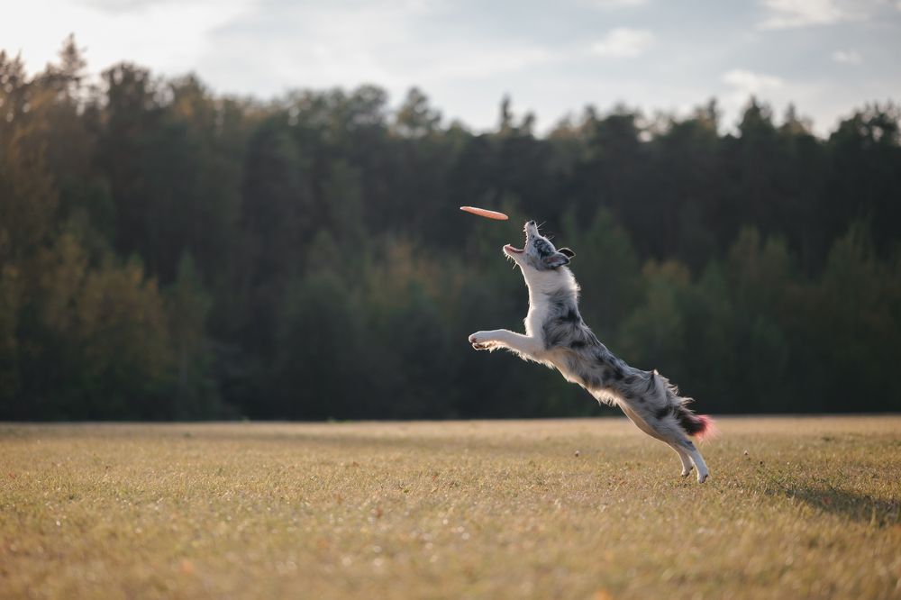 Photograph by Анастасия Жучкова