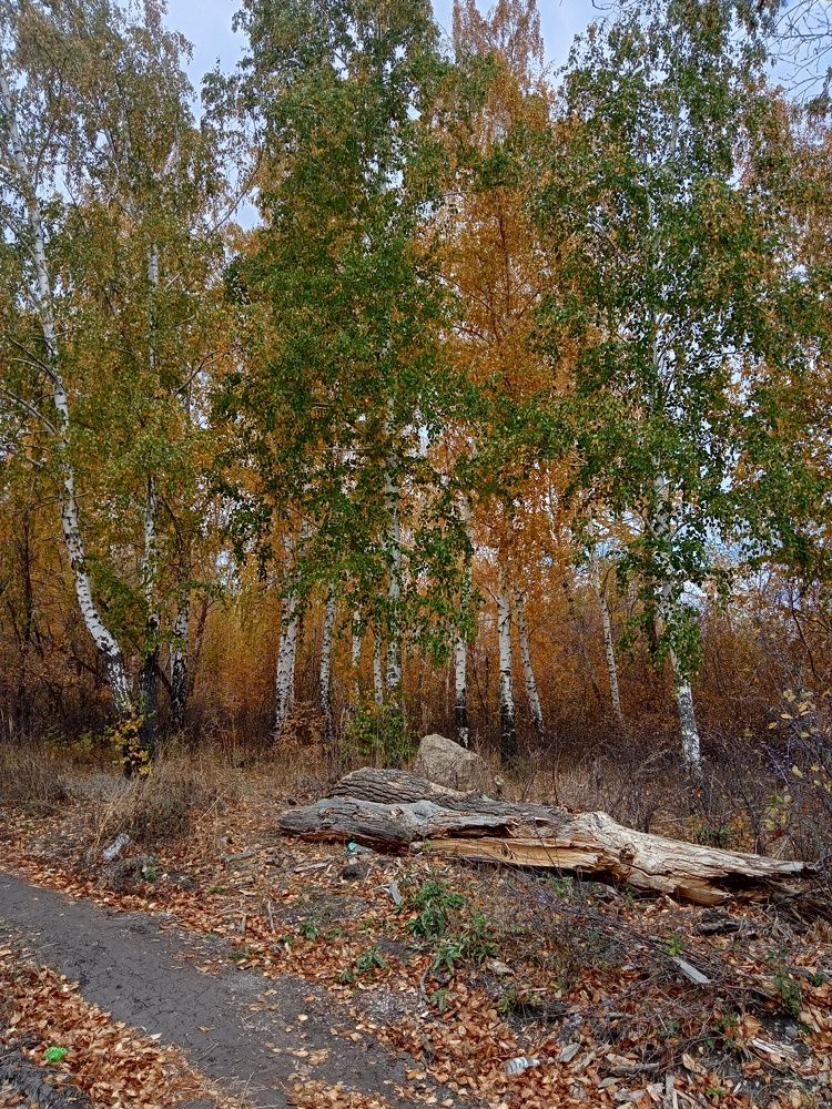 Фотография автора Татьяна Бакулина