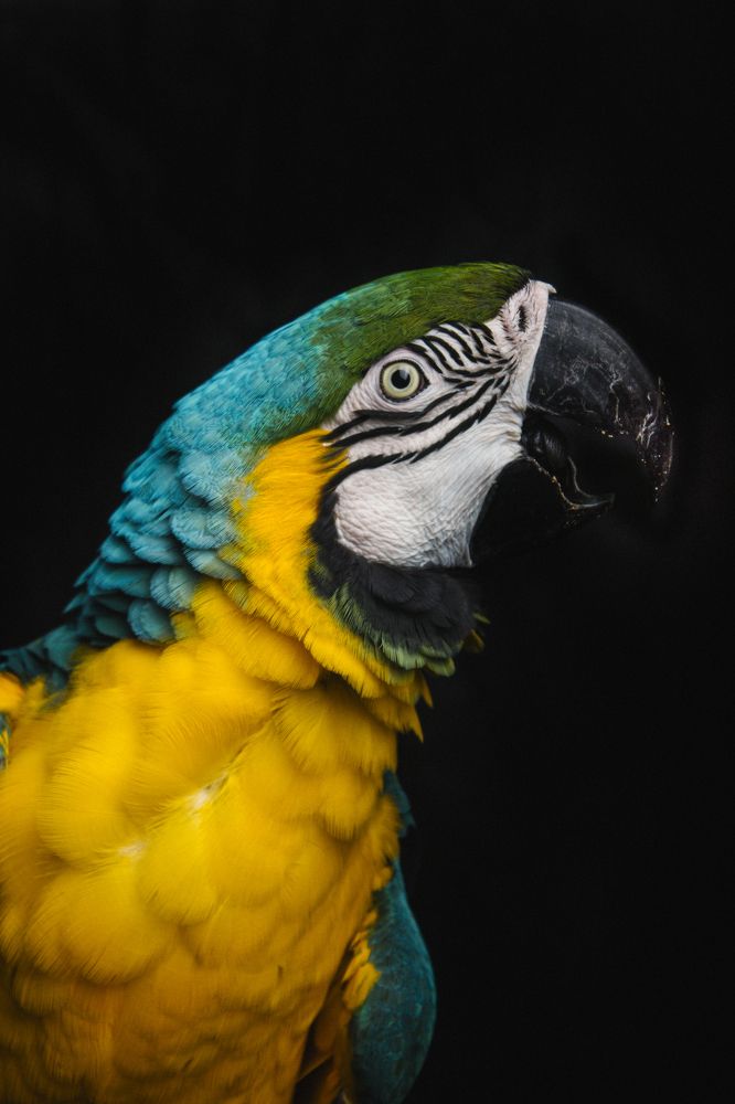 Photograph by Fábio Martins