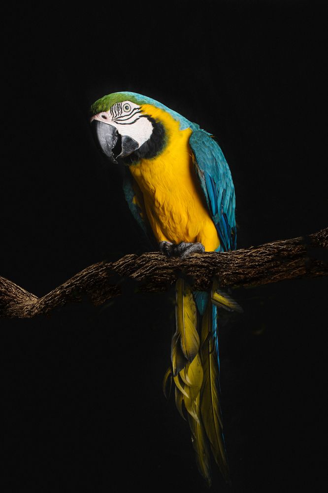 Photograph by Fábio Martins