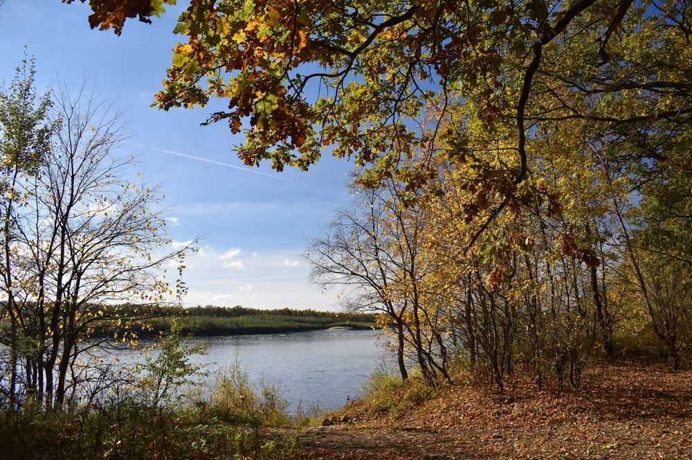 Фотография автора Наталья Сероглазова