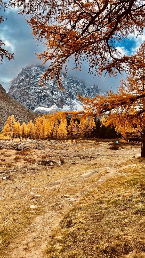 Photograph by Марина Куимова