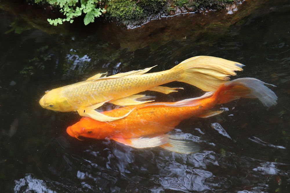 Photograph by Se Lena