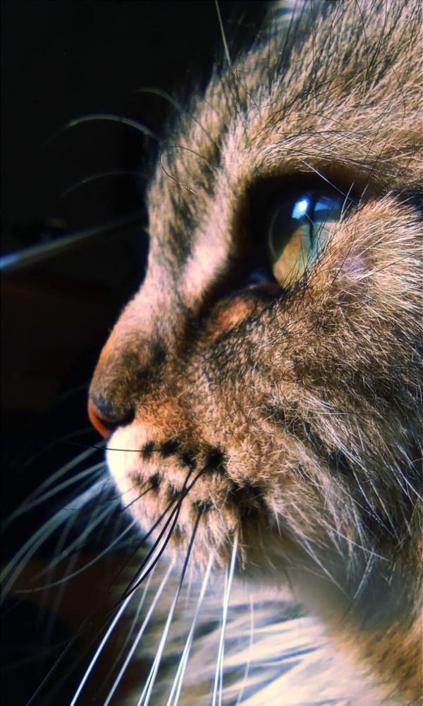 Photograph by Karine Galstyan
