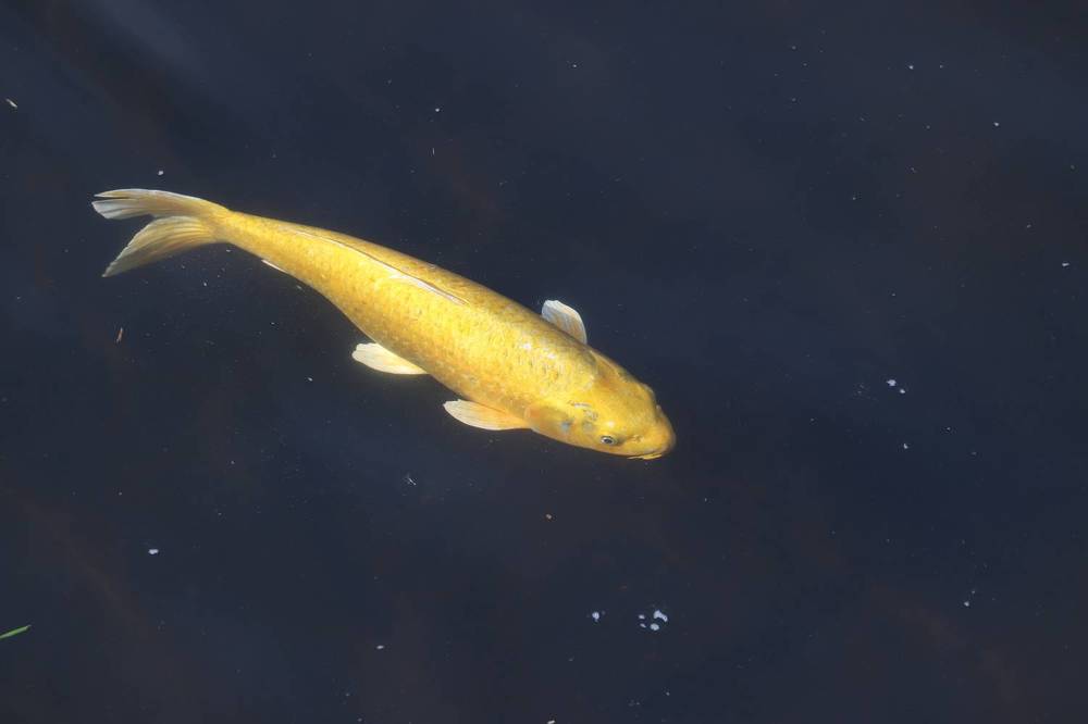 Photograph by Se Lena