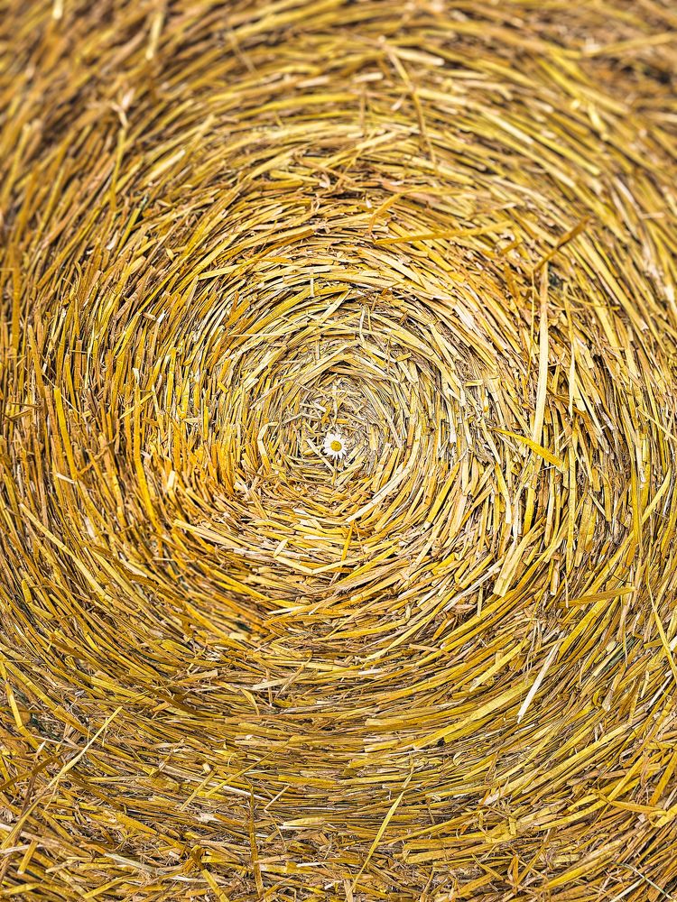 Фотография автора Ольга Шишук