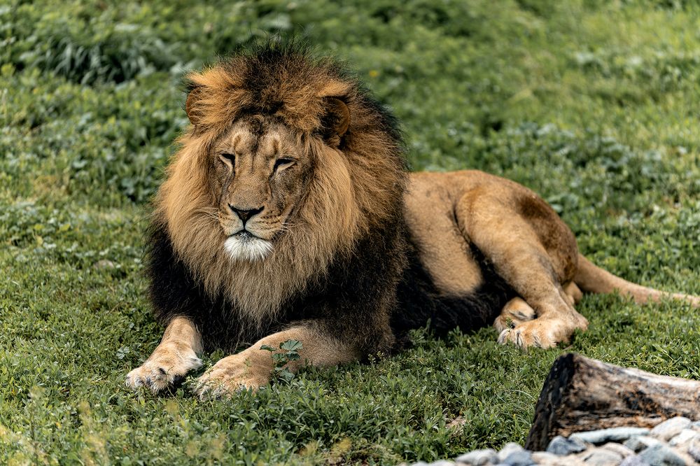 Photograph by Karpenko Denis