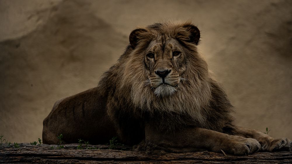 Photograph by Karpenko Denis