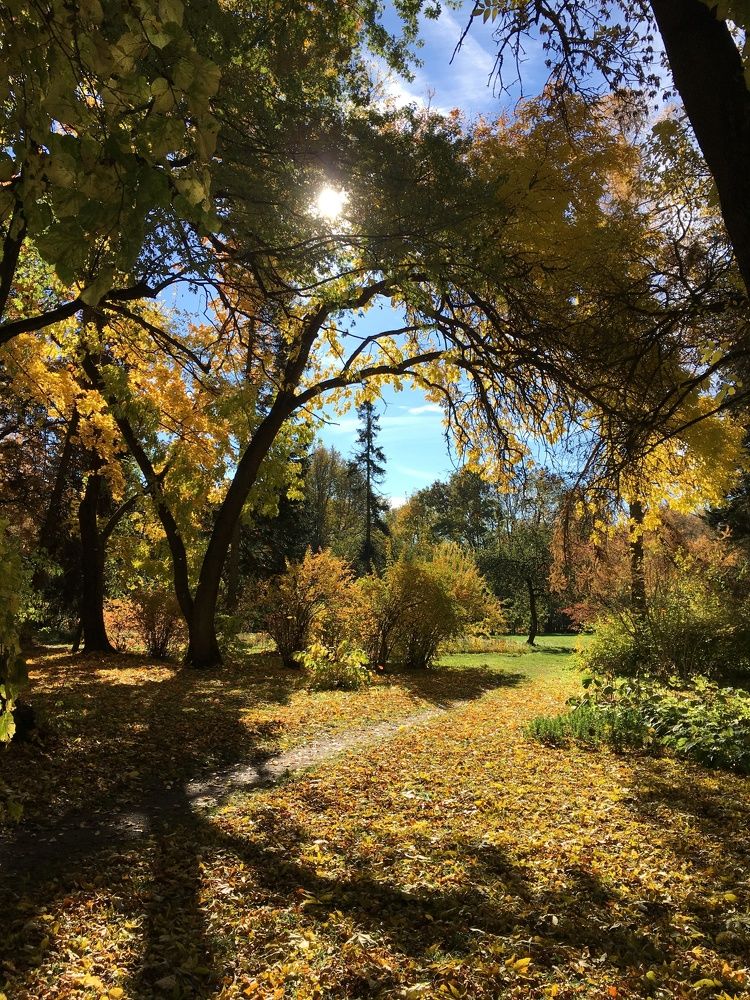 Фотография автора Александр Сипаров