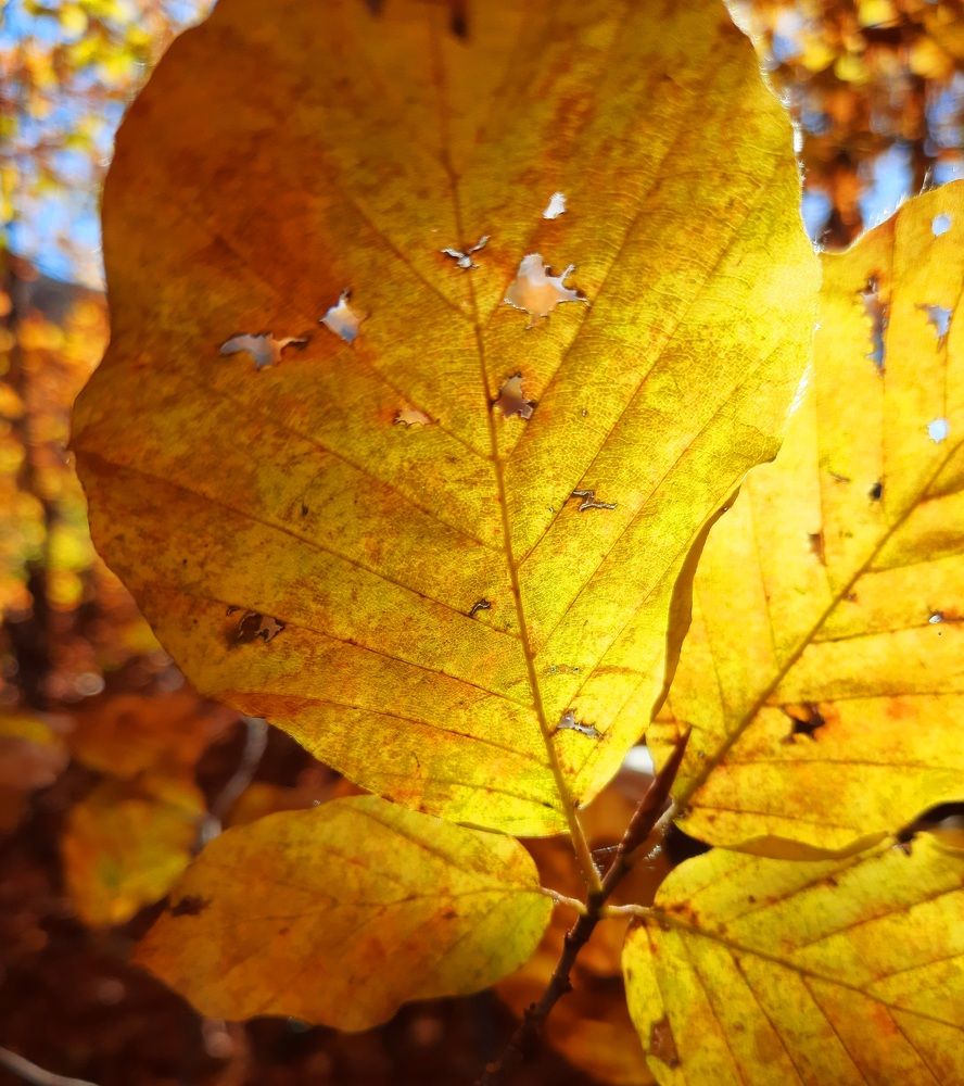 Photograph by Sonia Crotta