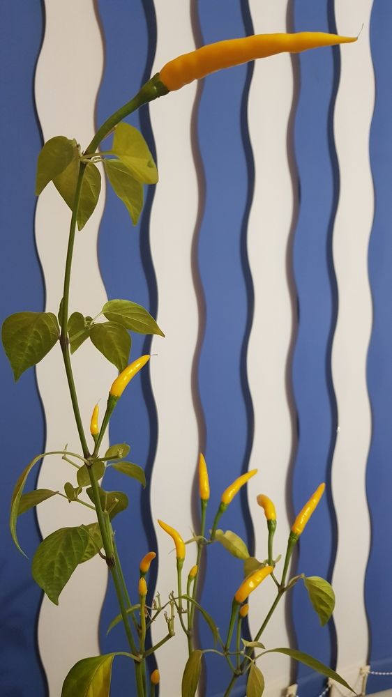 Photograph by Александра Пухкалова