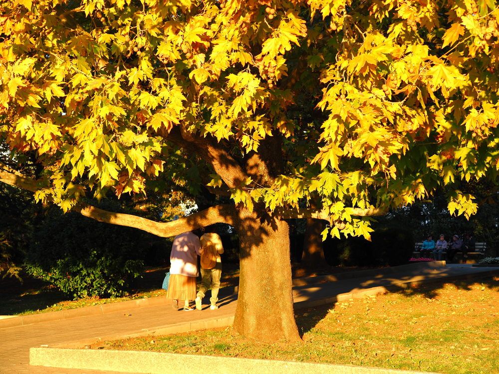 Photograph by Сергей Борисов