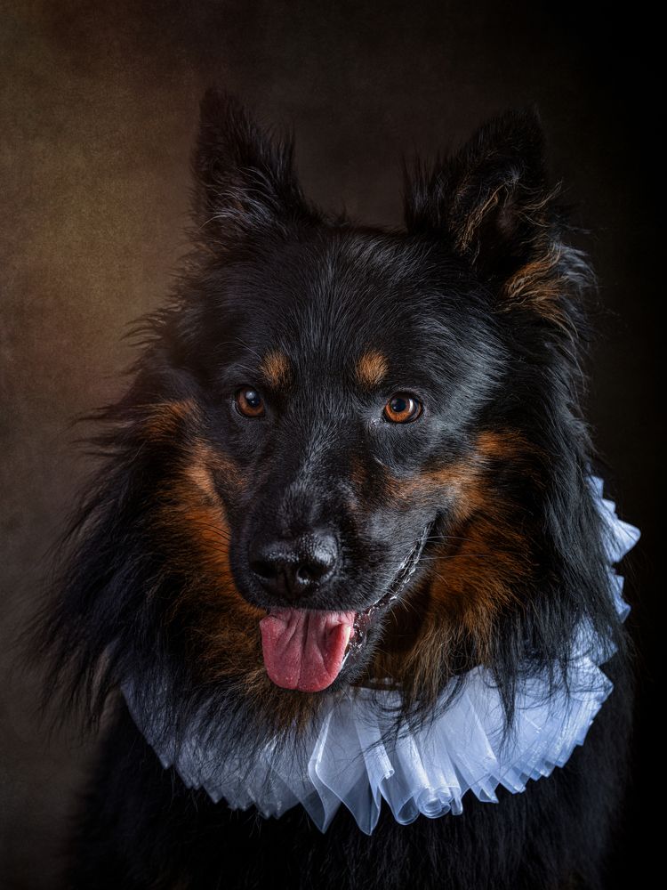 Фотография автора Christian Kieffer