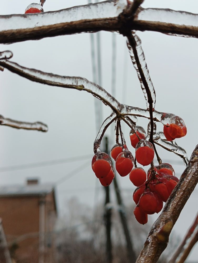 Photograph by Сергей Каминский