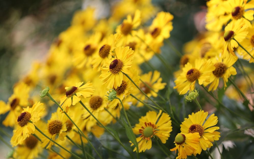 Photograph by Унку Юрий