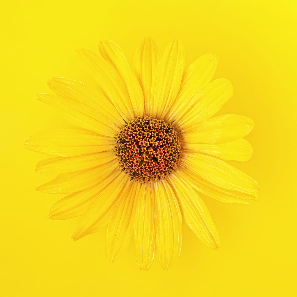 Photograph by Дёгтев Евгений