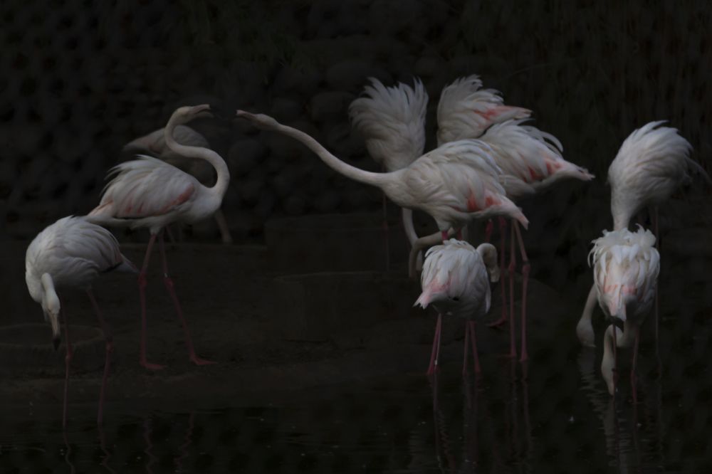 Photograph by Golshid Balaghi Bakhshayesh