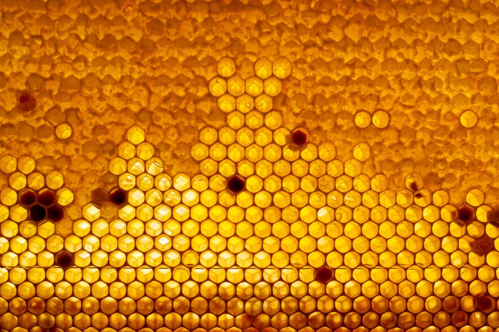 Photograph by Лина Матвеева