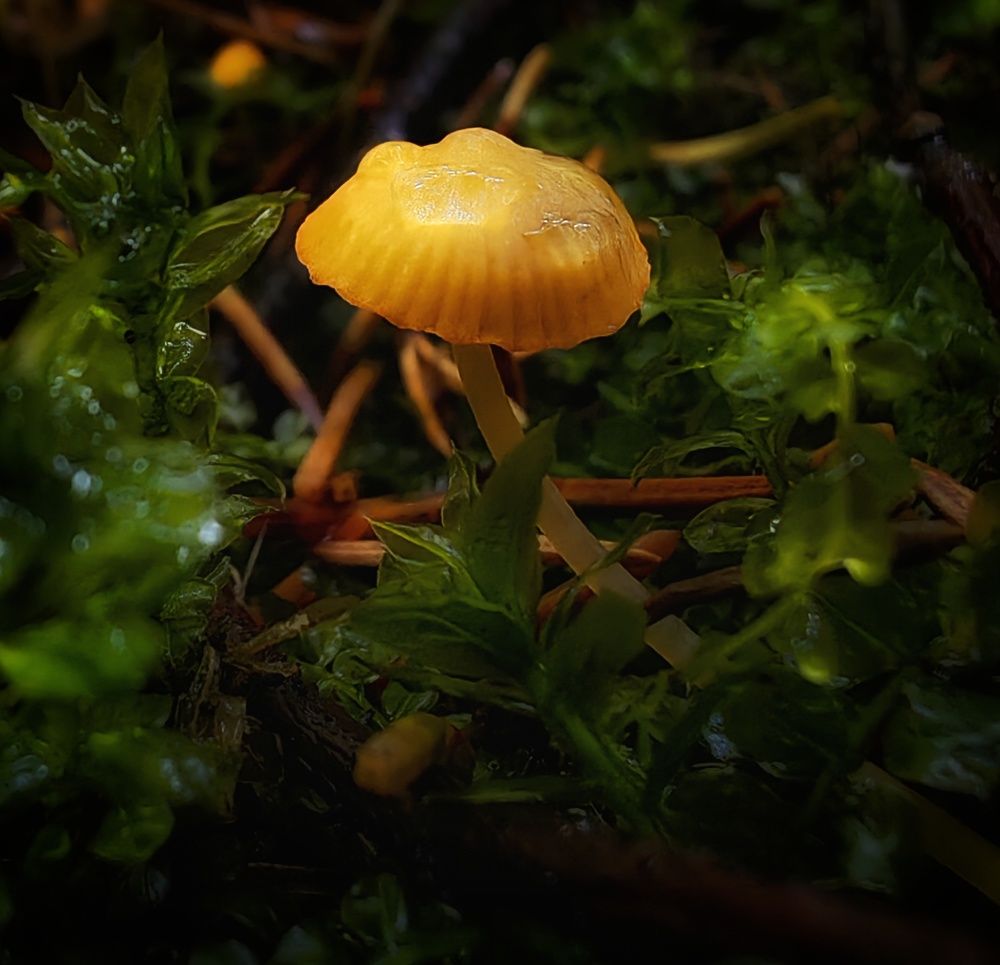 Photograph by Maiya Bulatova