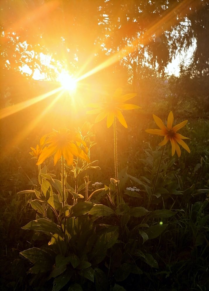 Photograph by Виктория Иванова