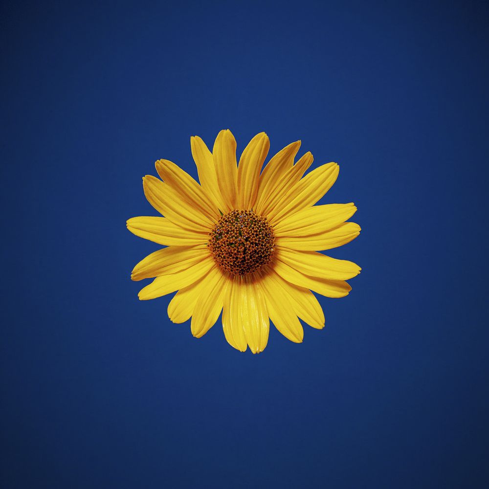 Photograph by Дёгтев Евгений