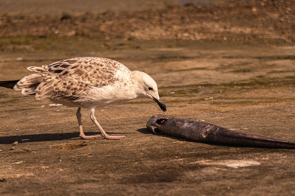 Photograph by Romina Moniri