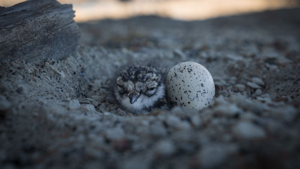 Photograph by Антон Дроздов